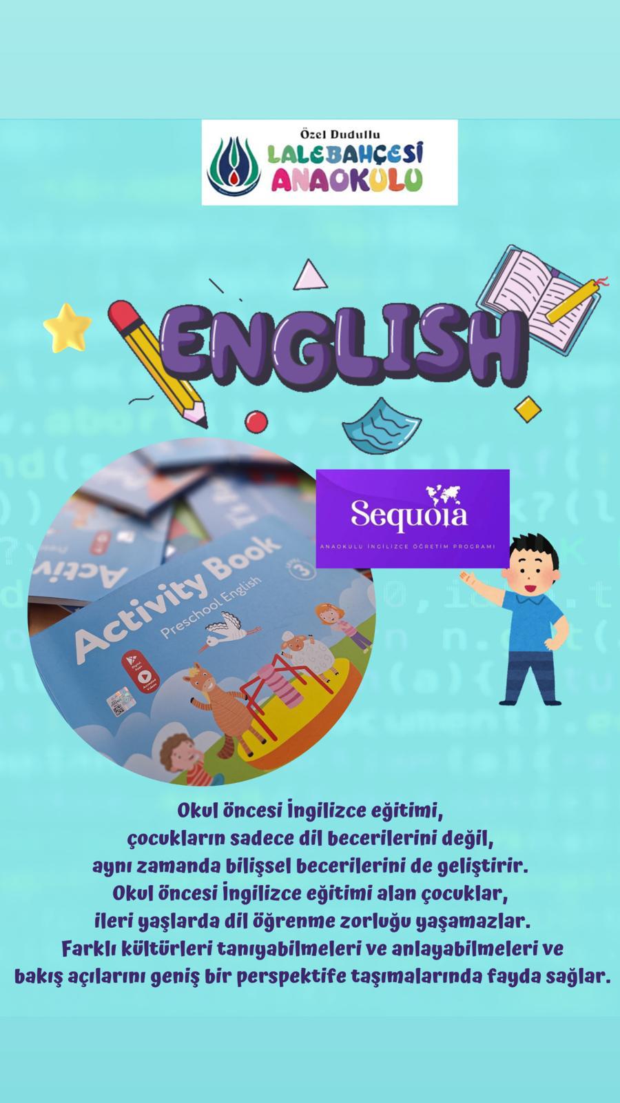 İngilizce Eğitimi