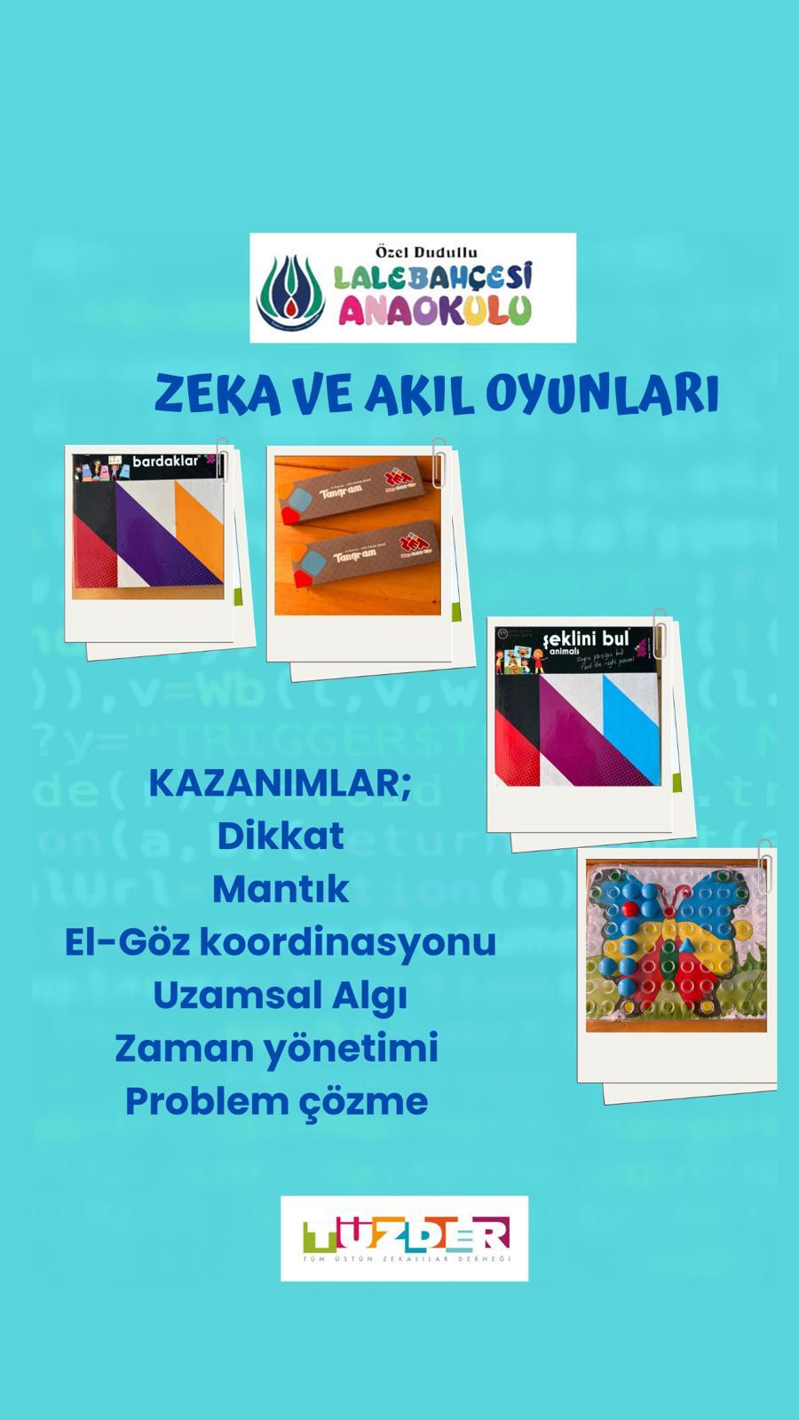 Zeka ve Akıl Oyunları